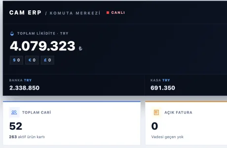 CamERP panelinden kırpım: toplam likidite, banka ve kasa bakiyeleri